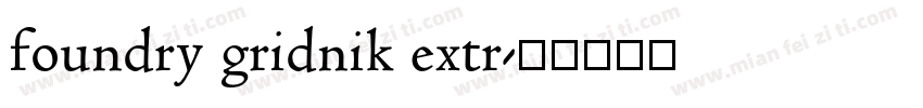 foundry gridnik extr字体转换